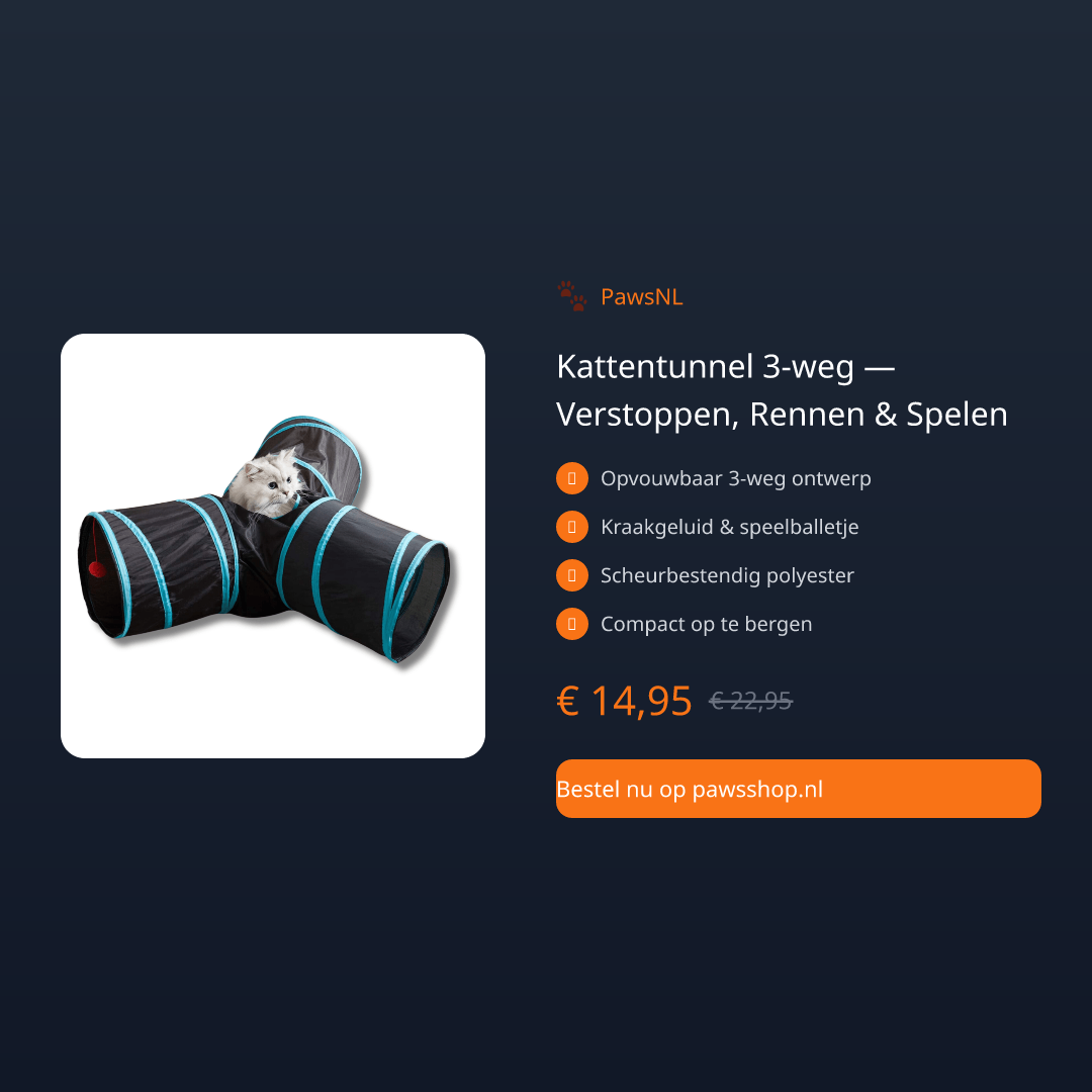 Kattentunnel 3-weg — Verstoppen, Rennen & Spelen - thumbnail 2