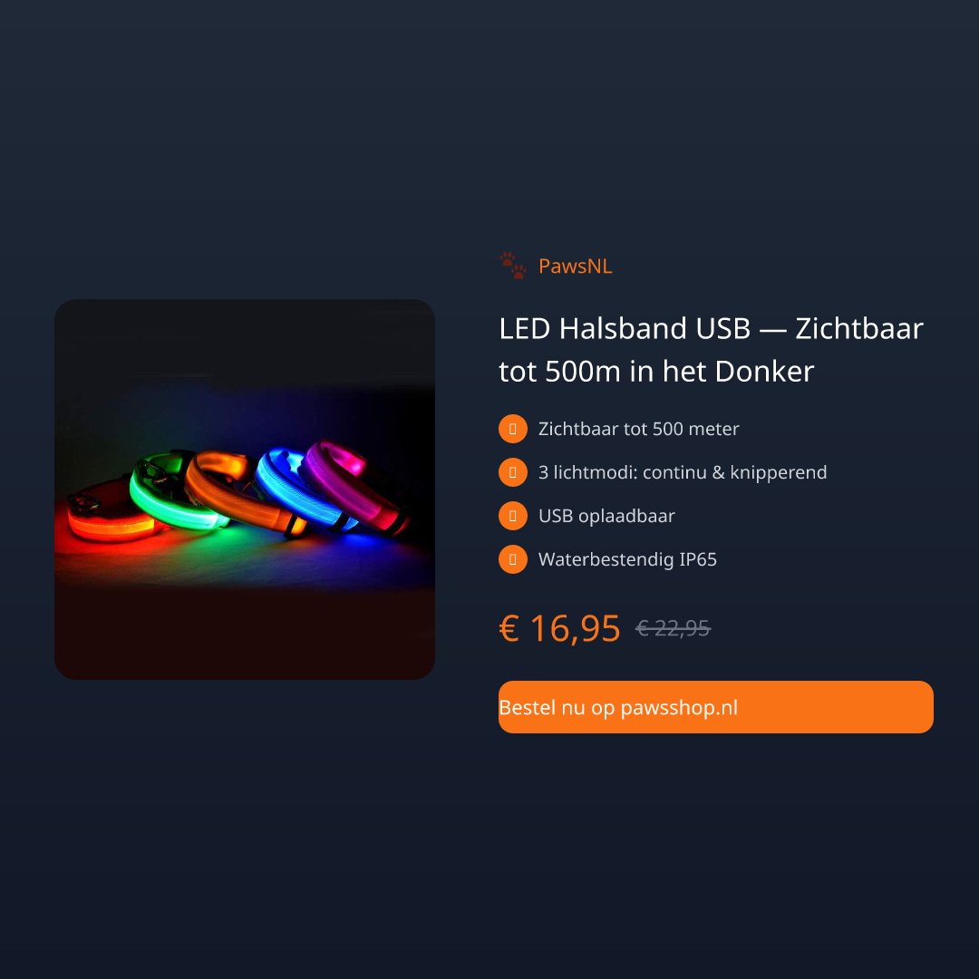 LED Halsband USB — Zichtbaar tot 500m in het Donker - thumbnail 2