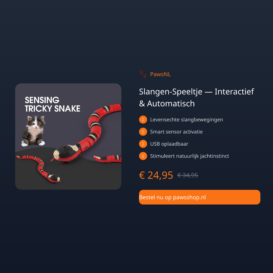 Slangen-Speeltje — Interactief & Automatisch - thumbnail 2