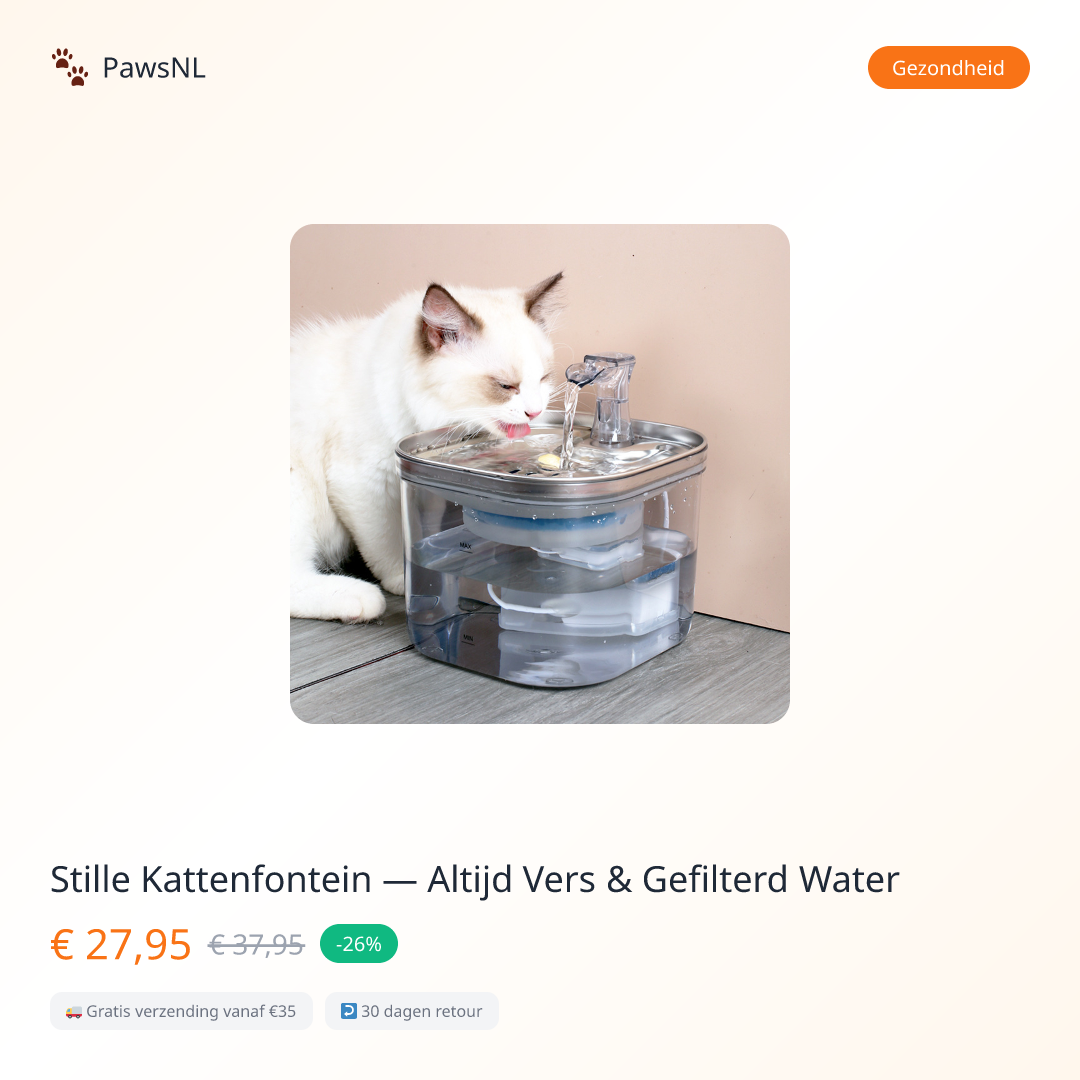 Stille Kattenfontein — Altijd Vers & Gefilterd Water