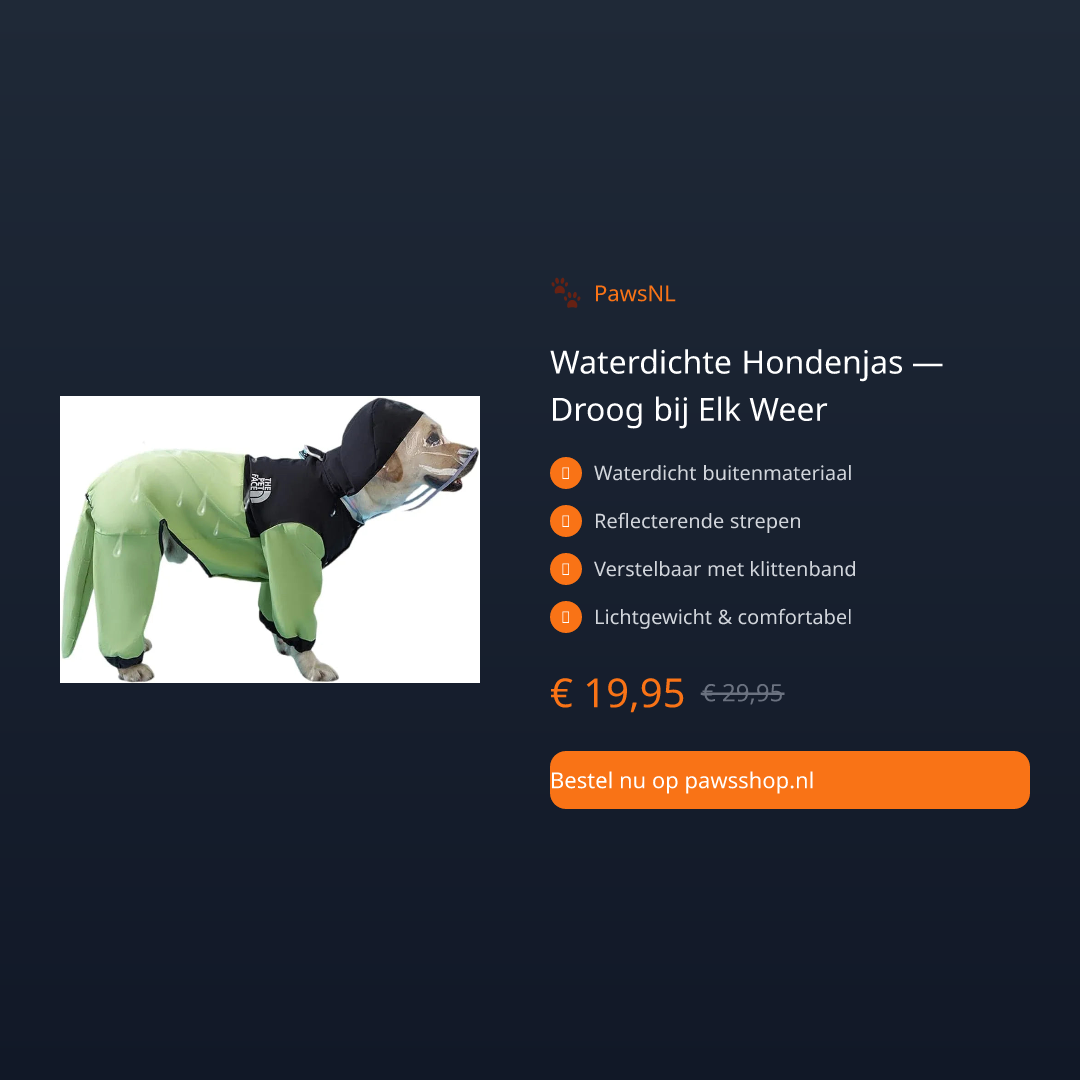 Waterdichte Hondenjas — Droog bij Elk Weer - thumbnail 2